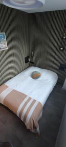 Appartements Studio renove Nancy Brabois, proche CHRU campus : photos des chambres