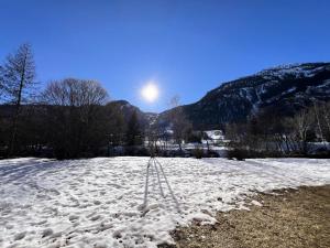 Résidence Jardin Alpin Anemone - Appartement spacieux · Accès pistes par navette · Vue montagne MAE-0141