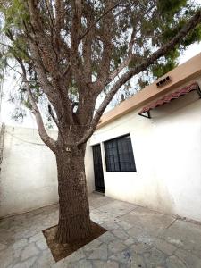 Departamento en San Buenaventura