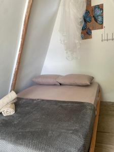 Cascada escondida glamping