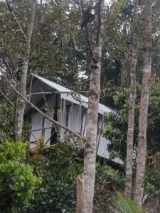 Escape Leuser Glamping & Jungle Expedition - Bandartelu