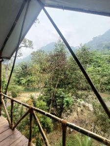 Escape Leuser Glamping