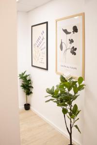 Design Suite Frankfurt