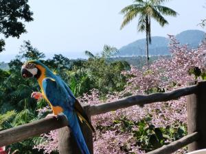 Casa Ecológica Paraíso
