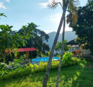 Hospedaje las margaritas