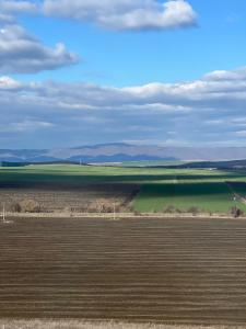 Family Apartment with Sea View Vineyard Spa Resort Aheloy