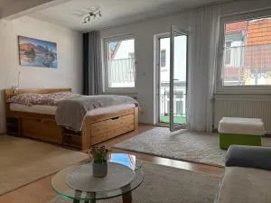 Zentral gelegenes Apartment am Fuße der Wartburg - Marienhöhe