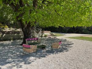 Maisons d'hotes Mas le bel Ami : photos des chambres