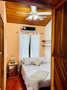 Apartamentos El Labrador