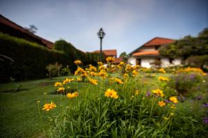 The School Estate in 100 Acres