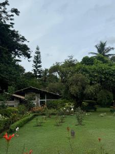 The School Estate in 100 Acres