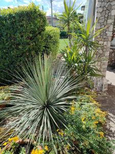 Delizioso Appartamento Locazione Turistica