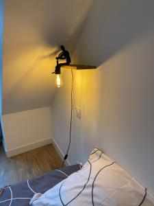Appartements Plein centre Auray - Grand duplex 2 chambres avec terrasse ensoleillee : photos des chambres