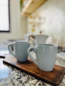 Nueva Cordoba - MONO