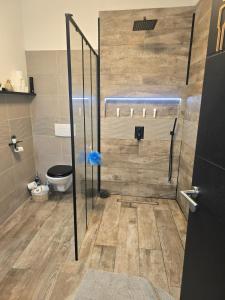 Appartements lartdeschoix : photos des chambres