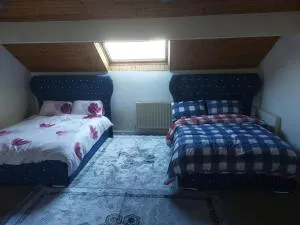 Welsh Mountain Retreat with studio flat - Cwm-y-glo