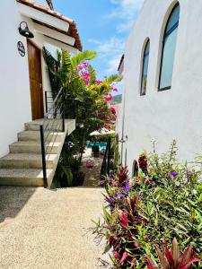 HUGE Suite!! King Bed, Air Conditioning, Pool, Fast Wifi - Sol at Casa Calavera