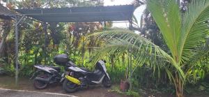 Jungle Hideaway Villas 4 - River Cafe