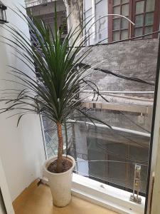 Mùi Oanh Homestay sát biển