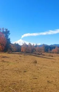 Cabaña viejo Roble - Trape