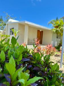 Villas Jazmin