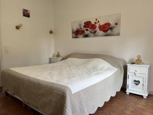 B&B / Chambres d'hotes La Figuiere Fontaine de Vaucluse : photos des chambres