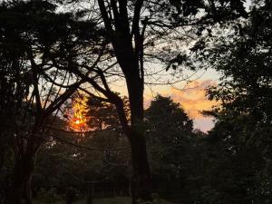 Cabina de las Hojas Monteverde
