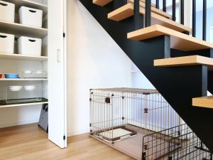 Dog Resort D&K-ドッグリゾートD&K-