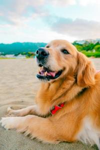 StellaMarina~海の星　ATAMI