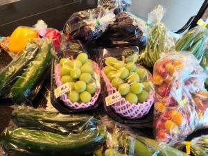 StellaMarina~海の星　ATAMI