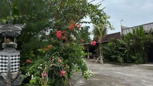 Teluk Menjangan Bali