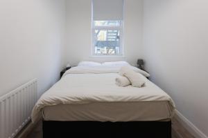 Belfast Boutique Apartment for 2
