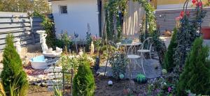 House of Roses Galati