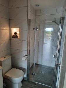 Elsies Sea View Lodge Lahinch