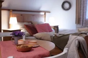 Statek Adámek - 塞德尔恰尼