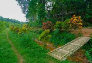 Spillway Retreat - Meenangadi