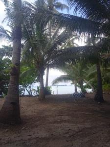 batu putih cottage karimunjawa