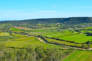 Agriturismo Turudhis img3