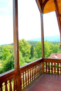 Willa Nimfa apartamenty w centrum