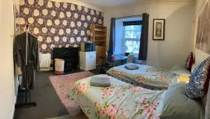 Dundonald Link, quiet & spacious twin room in town centre - 基尔温宁