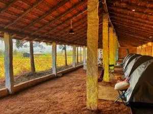 Malanad Camping Tent stay Creative Activities and Nature - Halebīd