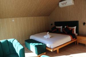 Apex Hotels and Resorts Attabad Lake Hunza