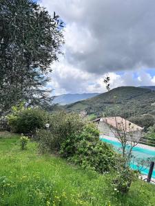 Villas Nouveau ! Villa avec piscine - Sainte-Marie-Siche : photos des chambres