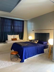 studio azul conforto