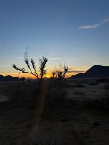 Gakleen luxury camp - Aqaba