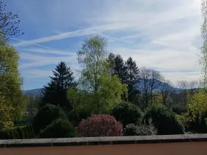 Hôtel l'Orée des Roches - 皮耶尔佩尔塞埃