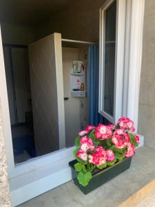 Maisons de vacances Vallee de la Barousse a Esbareich Hautes-Pyrenees : photos des chambres
