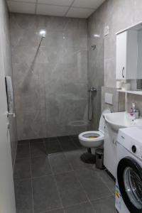 Damjans flat