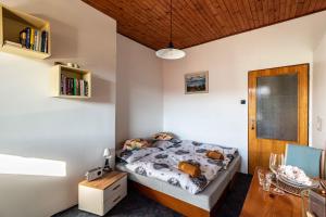 Apartmán u Mačky s balkónom Vysoké Tatry