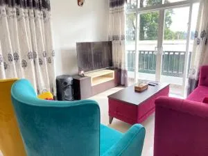 Seagull Lilly - Amunumulla